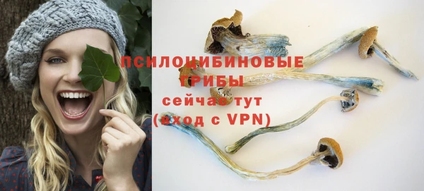 прущие грибы Абинск
