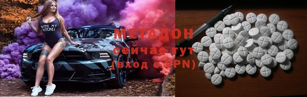прущие грибы Абинск
