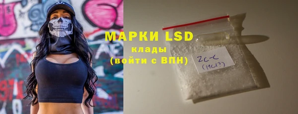 прущие грибы Абинск