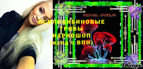 прущие грибы Абинск