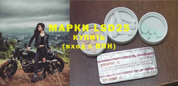 прущие грибы Абинск