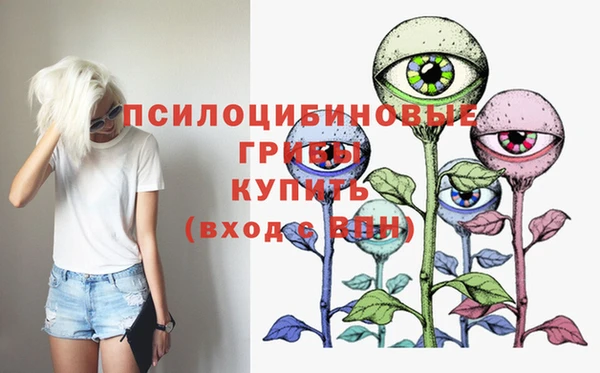 соль ск Новодвинск