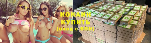 соль ск Новодвинск