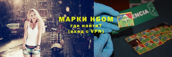 прущие грибы Абинск